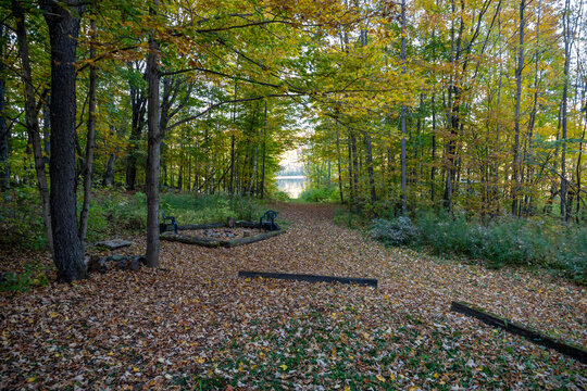 A path leads through a forest and past a fire pit towards Cranberry Lake in Haliburton, Ontario.