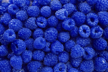 Many fresh blue raspberries as background, top view