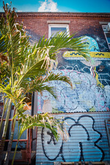 graffiti in Brooklyn, New York with a palm tree in front