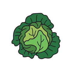 Cabbage icon. Flat color vector illustration. Isolated on white background.