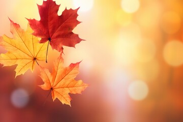 Naklejka na ściany i meble Falling autumn leaves in vibrant colors