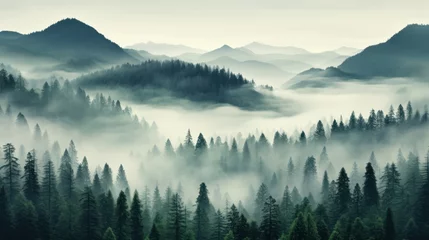 Foto op Plexiglas Misty mountain landscape. Fir trees foregrounding a fog-shrouded forest © PRI