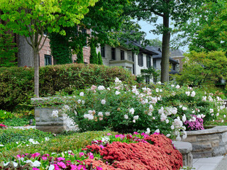Residential street with traditional detached houses and flowers in front garden