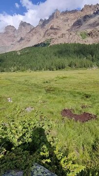 Hiking trough Predarossa, Valtellina, Italy