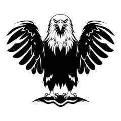 Hawk minimalist illustration
