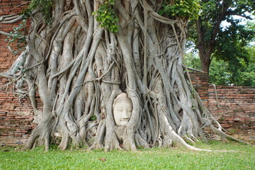 ワット・プラ・マハータート　アユタヤ・タイ　Wat Phra Mahathat, Ayutthaya, Thailnad