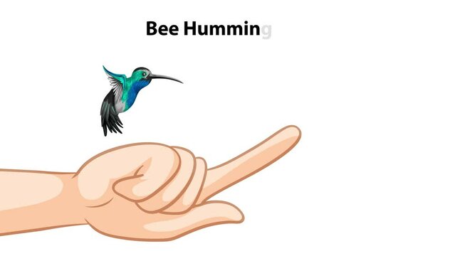 Animation comparing the size of a human finger to a Bee Hummingbird in flight.