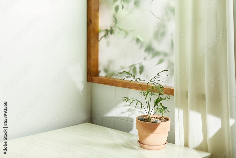 Wall mural A comfortable room where warm afternoon sunlight
comes in through a window with a view of tree leaves