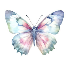Ethereal Beauty: An Illustration of a Butterfly in Flight,butterfly isolated on white background,Butterfly Colorful Watercolor Illustration
