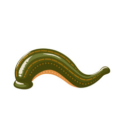 Vector illustration, Hirudo medicinalis leech, isolated on white background.