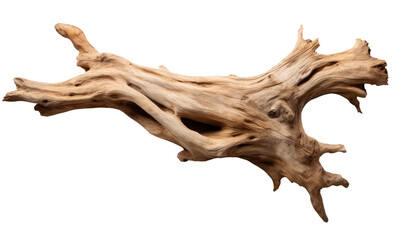 Fototapeta premium Driftwood isolated on transparent background