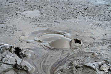 Mudbubble active mud volcanoes of Berca, Vulcanii noroiosi near Berca, Buzau, Wallachia, Romania