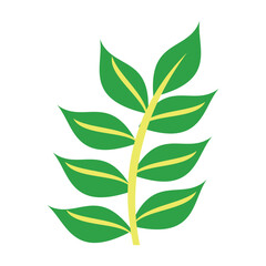 leafs plant ecology icon vector illustration design graphic flat and simple style. Flower and leafs decorative icon vector. Flower in pot icon. 