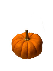 pumpkin isolated on white background