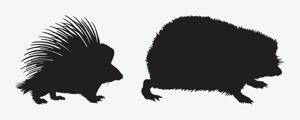 Quill-Outlined Majesty, Silhouetted Splendor of the Porcupine Rodent