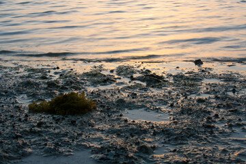 waves reflecting the morning sun washing on the beach during morning hours