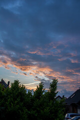 sunset clouds over a few dark shadows of plants