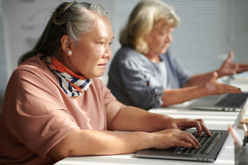 Elderly woman working on laptop in class for seniors