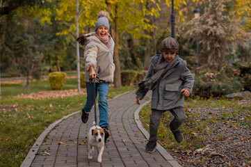 Brother and sister walk the dog in the park in autumn. Boy and girl running with jack russell terrier on a leash. 