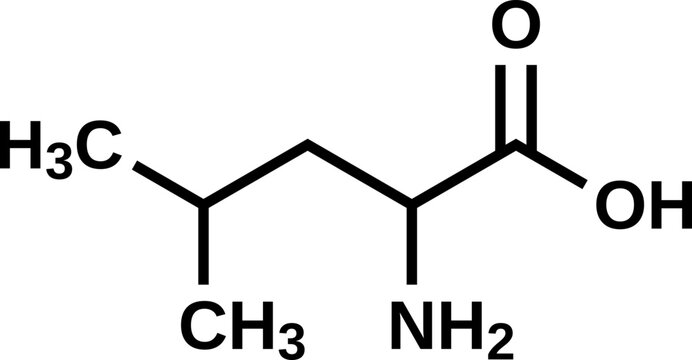 Amino acid leucine structural formula, vector illustration 