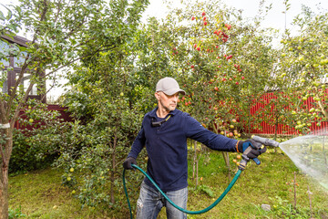 A man harvests apples, takes care of the trees and waters them