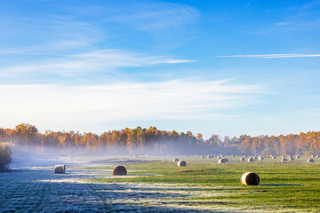 Field with round bales and frost on the ground