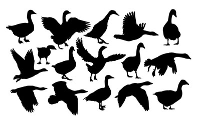 The set silhouettes of geese.  © designer_an