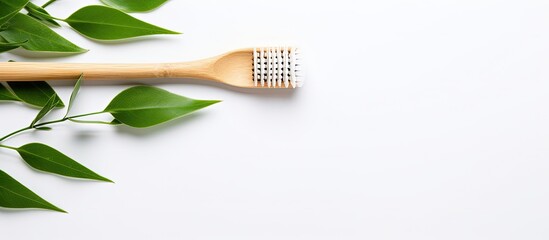 Dental care with eco friendly bamboo brush green leaves white background space for text