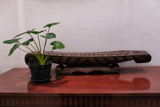 A children's traditional toy and a decorative plant on a wooden table