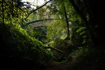 Fototapeten Romantikbrücke in der Erlaufschlucht © fotofrank
