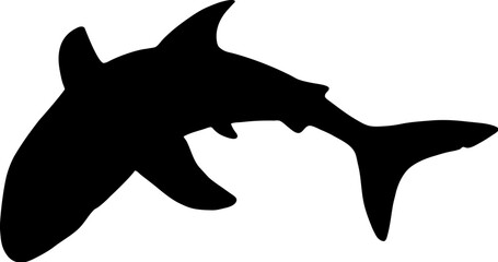 Shark Silhouette