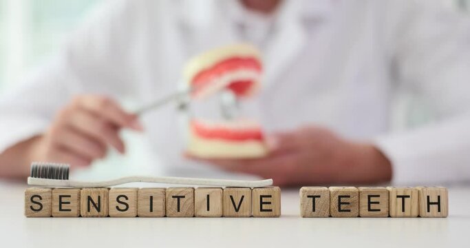 Dentist brushes teeth of artificial human jaw model and word sensitive teeth text. Increased tooth sensitivity and hyperesthesia