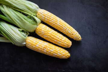 Fresh three Corn on the cob on dark table, prepared for baking