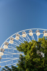 Fototapeta premium Experience the ultimate holiday in Australia, a land of adventure and relaxation, where stunning landscapes, vibrant cities, and unique wildlife combine to create unforgettable memories for travelers 