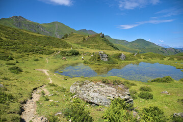 Summer in mountains near Bad Gastein, hiking paradise in Austria