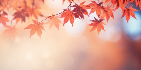 Autumn 