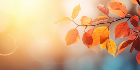 Autumn season