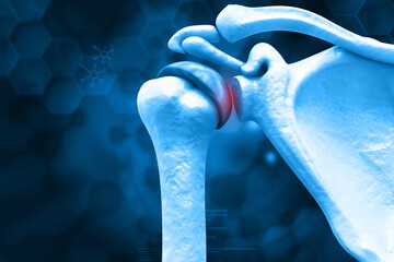 Human shoulder bones anatomy, shoulder pain on scientific background. 3d illustration.