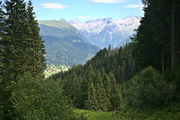 Summer in mountains near Bad Gastein, hiking paradise in Austria
