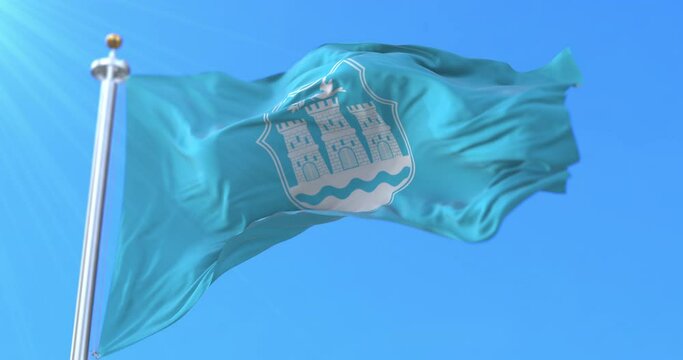 Flag of Novi Sad, Serbia. Loop