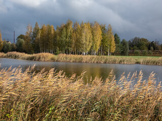 Beautiful landscape of autumn scenery with big lake, spur trees, birch trees and vegetation in...