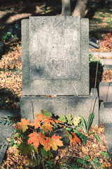 on the cemetery, grave in autumn