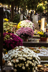 All Saints Day in cemetery in nostalgic autumnal time, autumnal colors - 658066142
