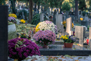 All Saints Day in cemetery in nostalgic autumnal time, autumnal colors
