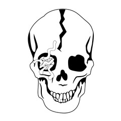 Obraz premium Black and white skull illustration