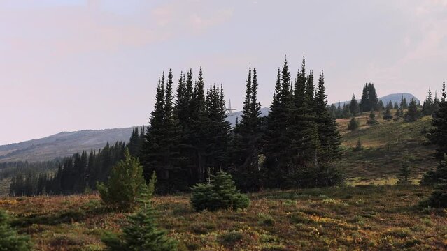 Private Helicopter Model Robinson R44 Flying Away From Airport Slow Motion