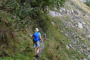 Mann und sein Lagotto Romagnolo Hund wandern in der Nähe des Gampenpass in Südtirol 