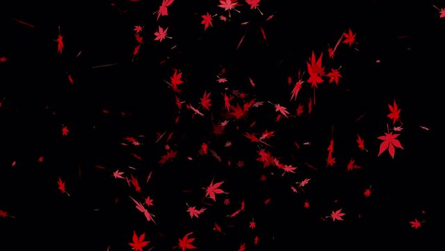 真っ赤な紅葉が上から舞う（ループ）4K-背景透過