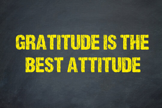 gratitude is the best attitude	
