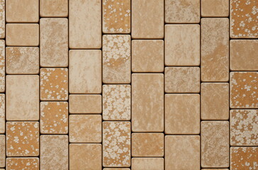Obraz premium Earthy Elegance: Textured Wall of Interlocking Bricks